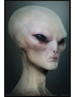 AlienVisitor