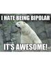 BiPolarBear BiPolarBear