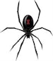 Black_Widow