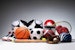 Blogmedia12