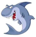 blueshark