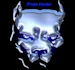 bulldogs702