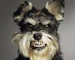DaWG_DaYz