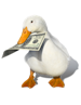 Duckdude