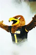 eaglematt29