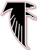 Falcons404