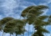 Favorable_Wind