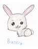 fuzzybunny