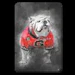 GoDawgs82