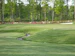 igrowgrass
