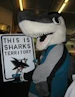 mako_shark