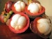 mangosteen