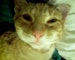 Millray