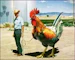 MrRooster