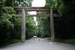 oneinhole