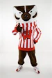 OnWisconsin