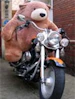 PappaBear
