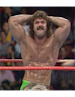 Rick_Rude