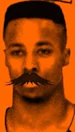 Snake_Bandit