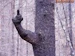 snobbytree