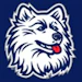 Uconn_Fan