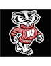 UWBUCKY