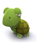 WildTurtle WildTurtle