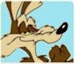 Wile-E-Coyote67